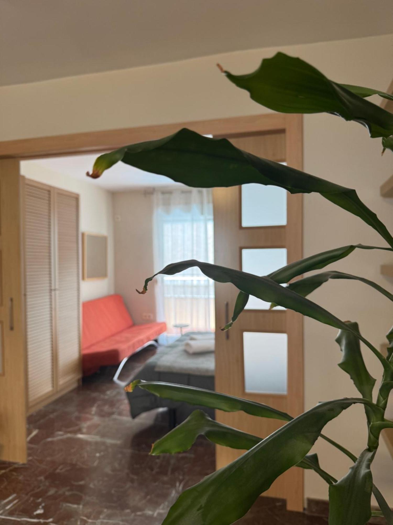 Constitucion Suite Confort D Granada Bagian luar foto